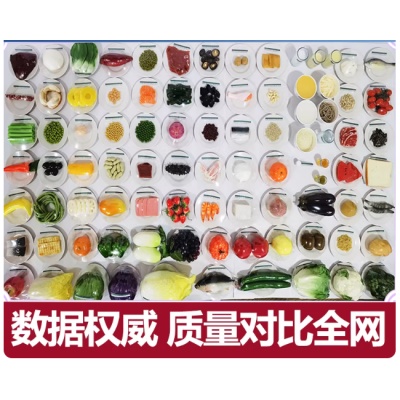 教具*仿真食物模型 